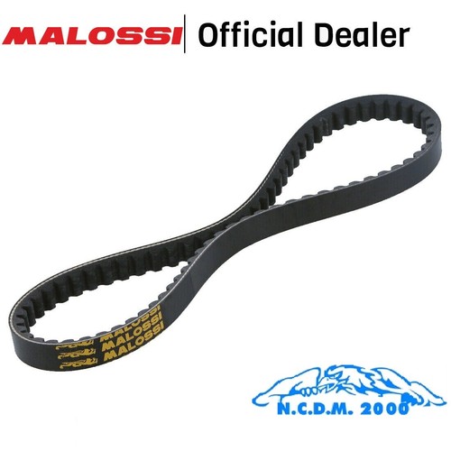 Cinghia trasmissione malossi - cinghia, x
