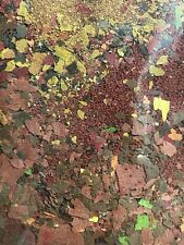 20g Mangime PREMIUM MIX Guppy