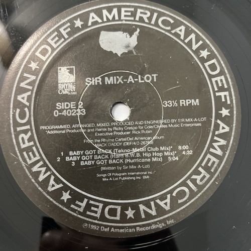 Sir mixalot baby got - got, back-12"