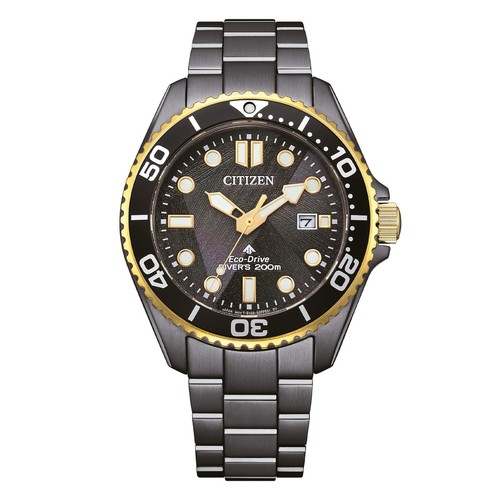 Citizen promaster bn0264 - promaster, bn0264-53e