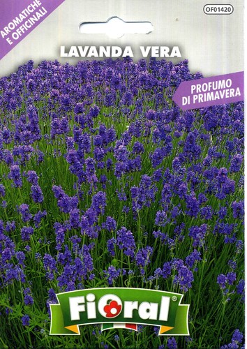 Sementi piante aromatiche e - sementi,