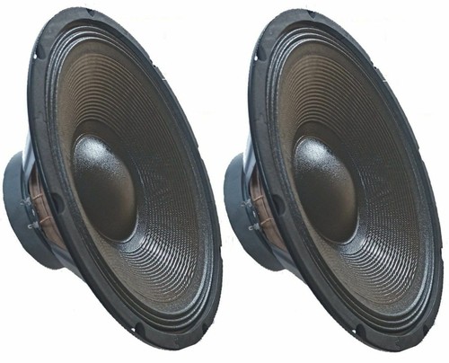Coppia woofer 4 ohm - 31, cm