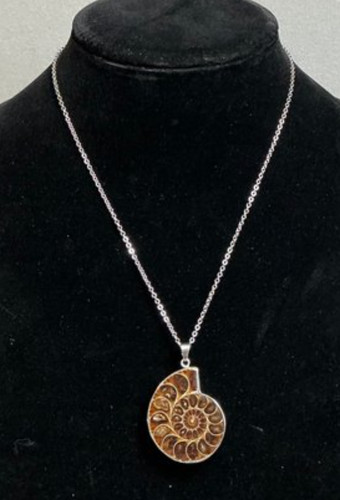 Ciondolo fossile ammonite - ciondolo,