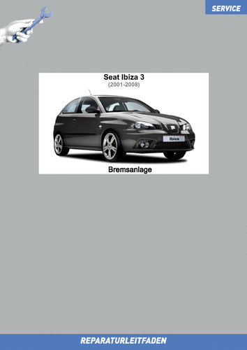Seat ibiza guida - ibiza, 3