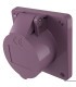 Presa spina v con - 12/24,