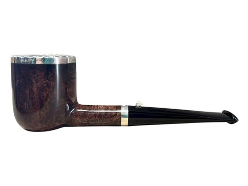 Pipa anatra dalle uova - l’anatra,