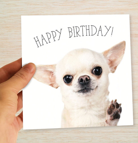 Biglietto compleanno chihuahua - compleanno,