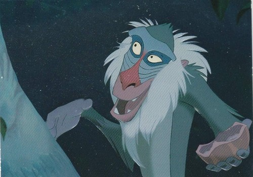 Leone rafiki 1994 skybox - il,