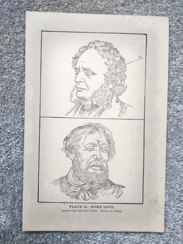 Home love phrenology - -,
