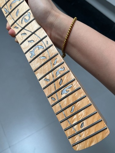 Collo chitarra elettrica inox - elettrica,