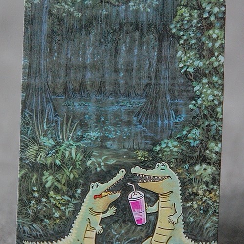 Bayou gator party - -, mtg