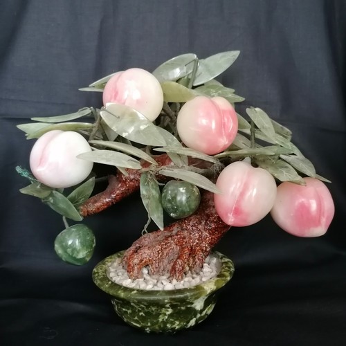 Antico bonsai albero - antico,