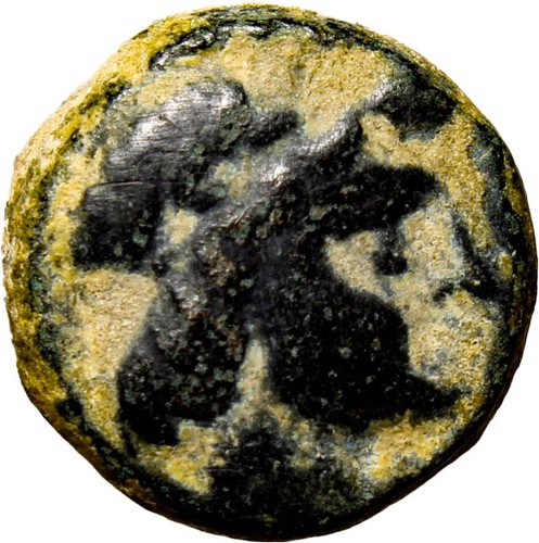 Seleucide impero antioco iii - seleucide,