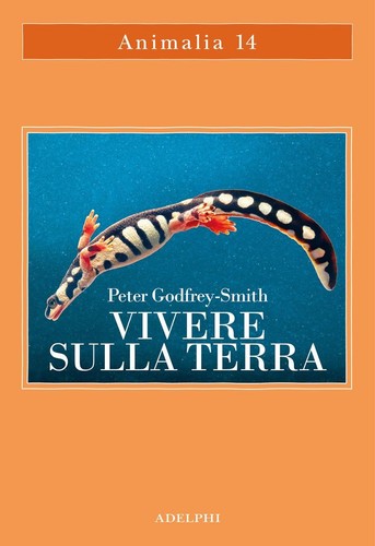 Vivere sulla terra vita - terra., la