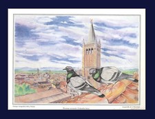 LOTTO (C2B) 4 OPERE GRAFICHE