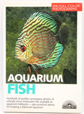 Aquarium Fish (Pet reference