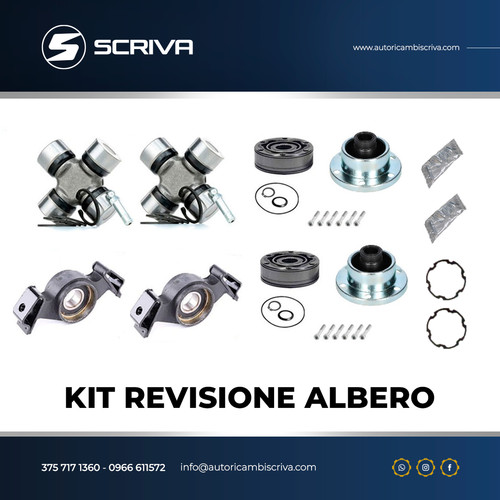 Kit revisione albero - kit,