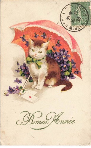 Mikidp1 016 gatto bianco - mikidp1-016-,