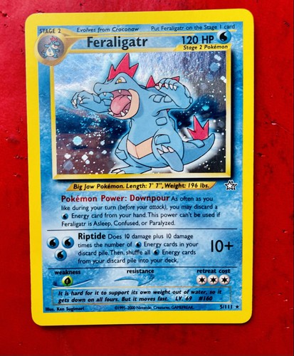 Lotto carte pokemon feraligatr - carte,