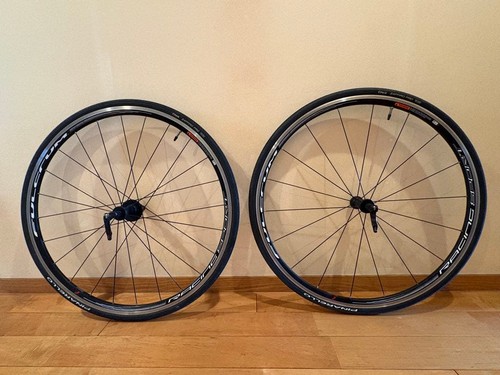 Ruota completa fulcrum - ruota,