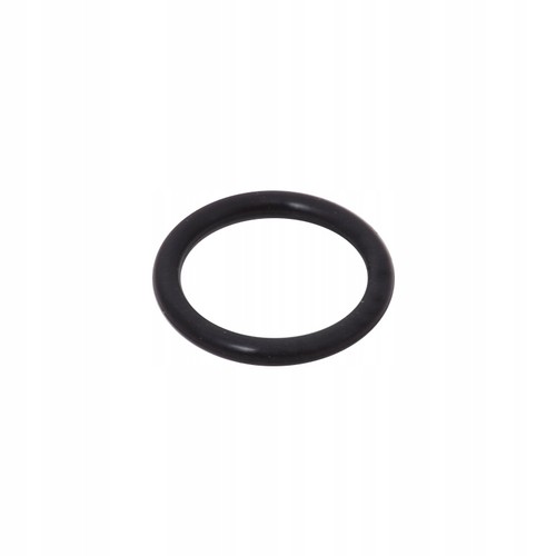 Ring pompa iniezione - o-ring,