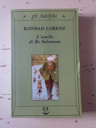 Anello re salomone - di,