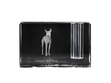 Cirneco dell etna - dell',