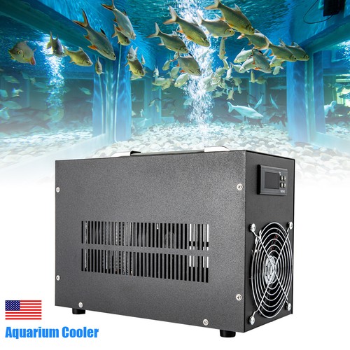 Refrigeratore acquario 16gal - refrigeratore,