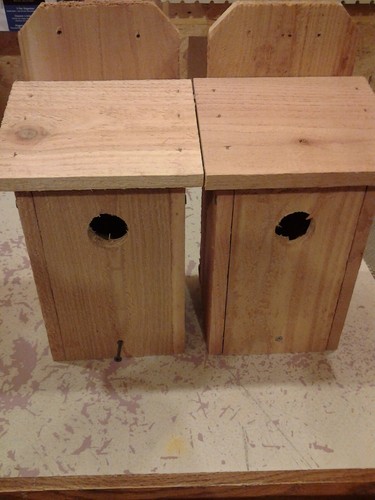 Set casetta uccellini - set,