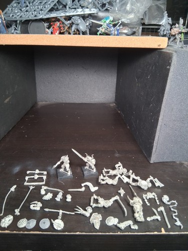 Lotto mordheim pit fighter - lotto,