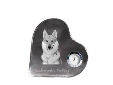 Cane Lupo Cecoslovacco -