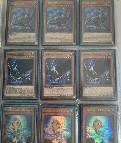 Lotto base deck shark - base, shark/squalo