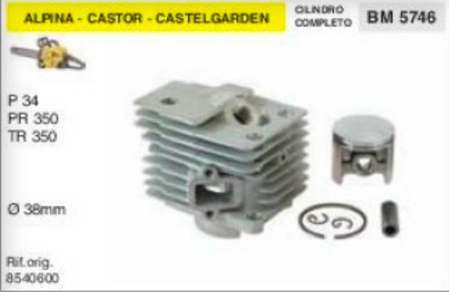 Cilindro pistone motosega - cilindro,