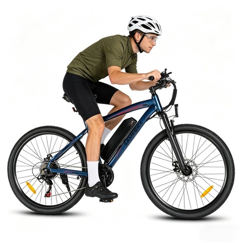 Bici elettrica mountain - elettrica,