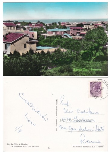 Lido dei pini panorama - dei, pini: