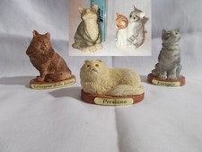 LOTTO 5 STATUINE GATTO GATTI PERSIANO EUROPEO NORVEGESE MARCHIO SHEBA ALIMENTI