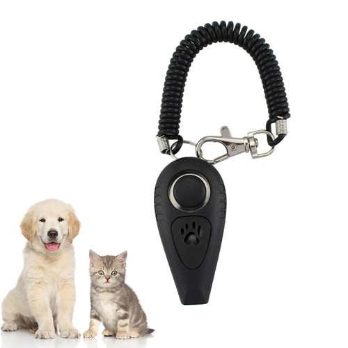 Addestratore per cani in - in, 1