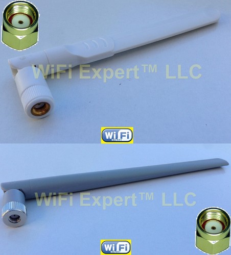 Antenna paddle dual band