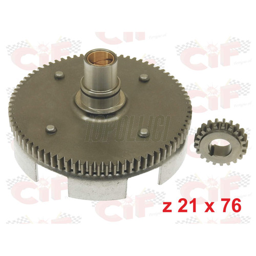Rapporti cif per vespa - cif,