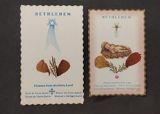 BETLEMME 2 SANTINI CON FIORI DI BETLEMME