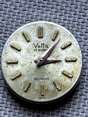 Vetta cal swiss watch - vetta,