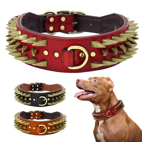Collare per cani con - borchie, a