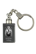 American Bulldog, Bulldog