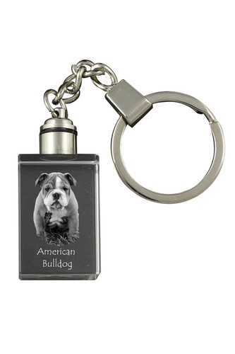 American bulldog - bulldog,,