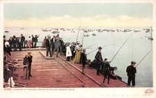 Isola di Santa Catalina