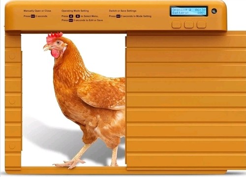 Porta pollaio automatico - porta,