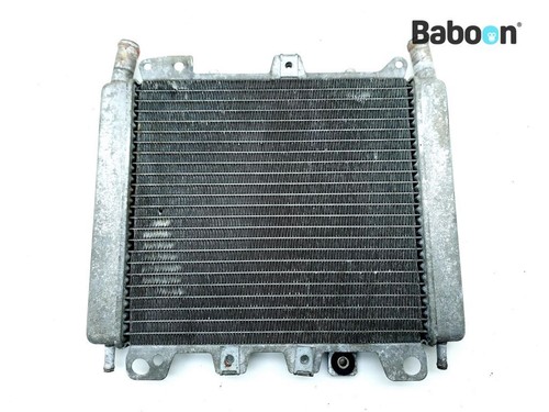Radiatore piaggio vespa - radiatore,