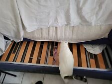 divano letto castello