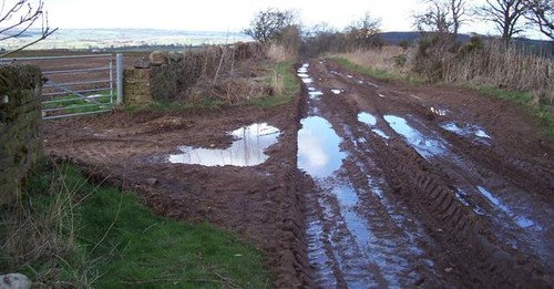 Photo 6x4 mud track - photo,