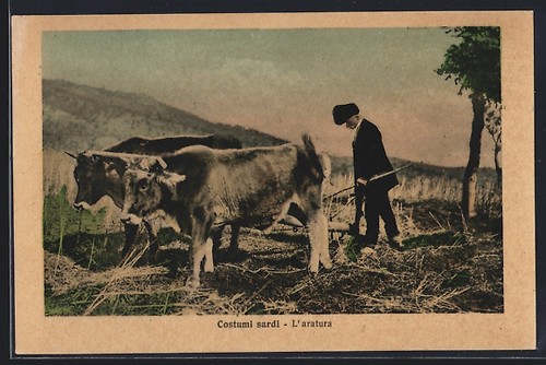 Cartolina costumi sardi - costumi,